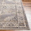 LIVABLISS Aida AAD-2301 Beige Area Rug