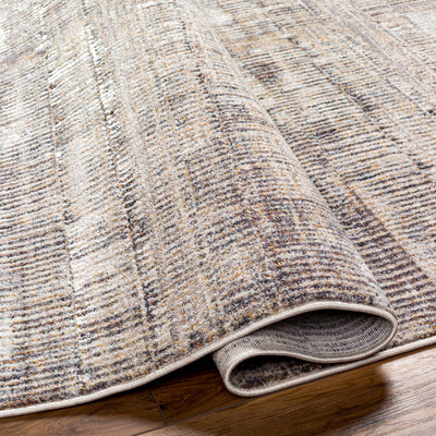 Surya Aida AAD-2304 Ivory Area Rug by LIVABLISS