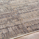 Surya Aida AAD-2304 Ivory Area Rug by LIVABLISS