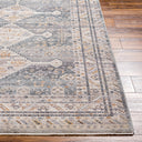 Surya Aida AAD-2305 Medium Gray Area Rug by LIVABLISS