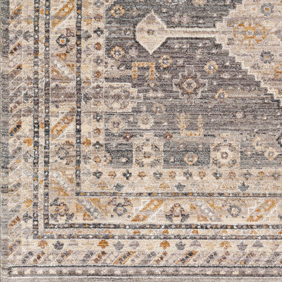 Surya Aida AAD-2305 Medium Gray Area Rug by LIVABLISS