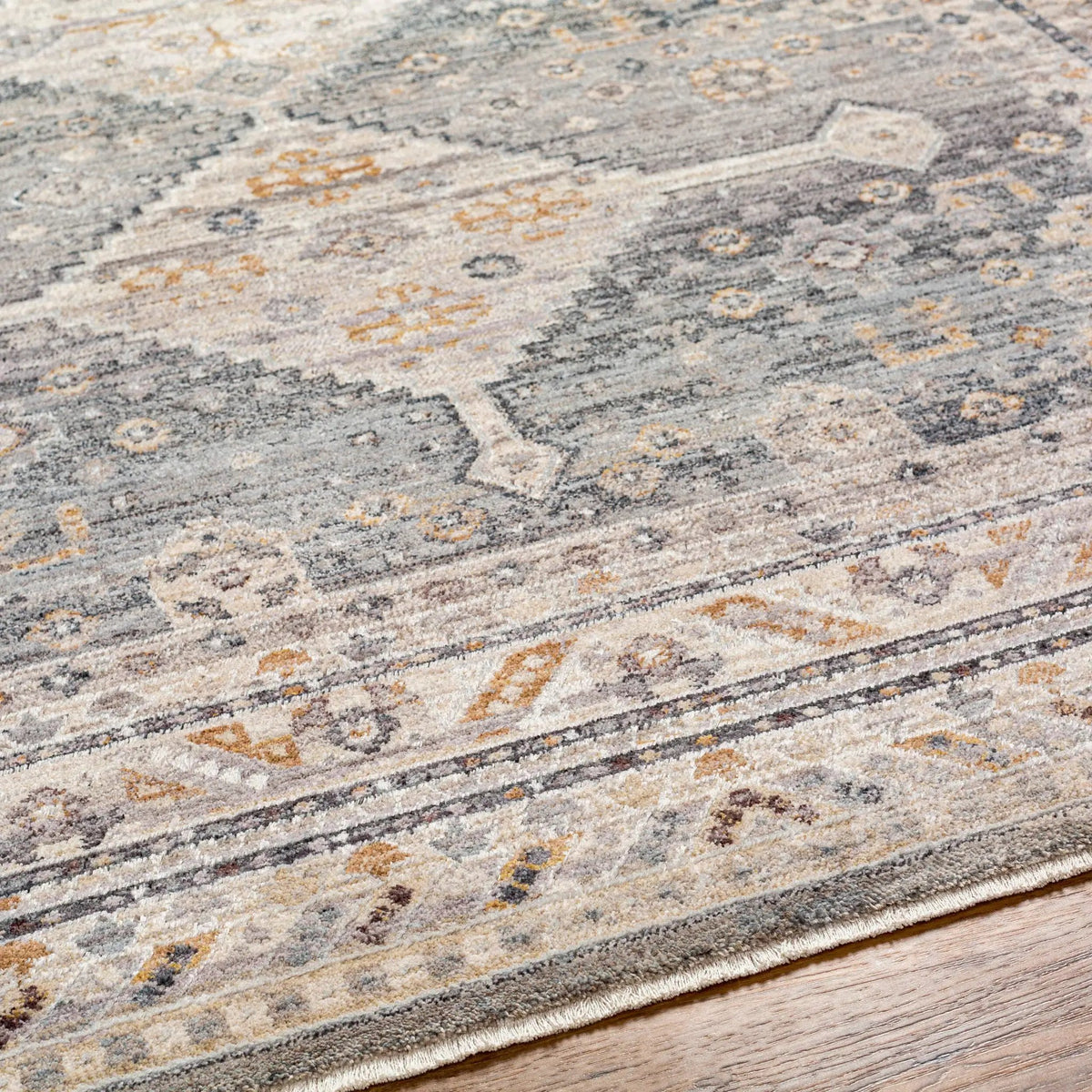 Aida AAD-2305 Medium-Gray Area Rug by LIVABLISS