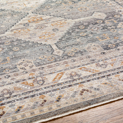 Surya Aida AAD-2305 Medium Gray Area Rug by LIVABLISS
