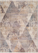 Surya Aida AAD-2308 Beige Area Rug by LIVABLISS