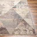 Surya Aida AAD-2308 Beige Area Rug by LIVABLISS