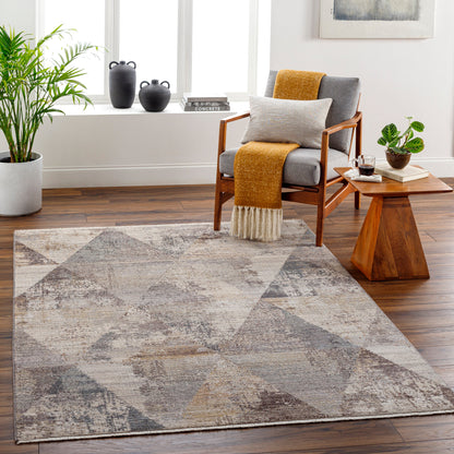Surya Aida AAD-2308 Beige Area Rug by LIVABLISS
