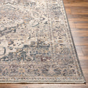 Surya Aida AAD-2311 Beige Area Rug by LIVABLISS