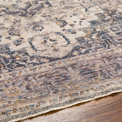 Surya Aida AAD-2311 Beige Area Rug by LIVABLISS