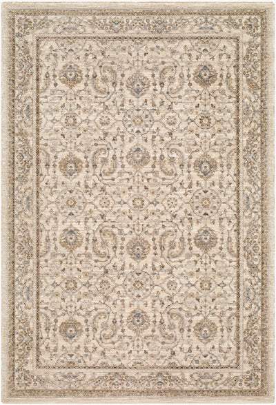 LIVABLISS Arda ACZ-2301 Light-Gray Area Rug