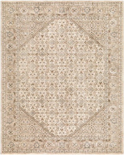 LIVABLISS Arda ACZ-2315 Light-Gray Area Rug