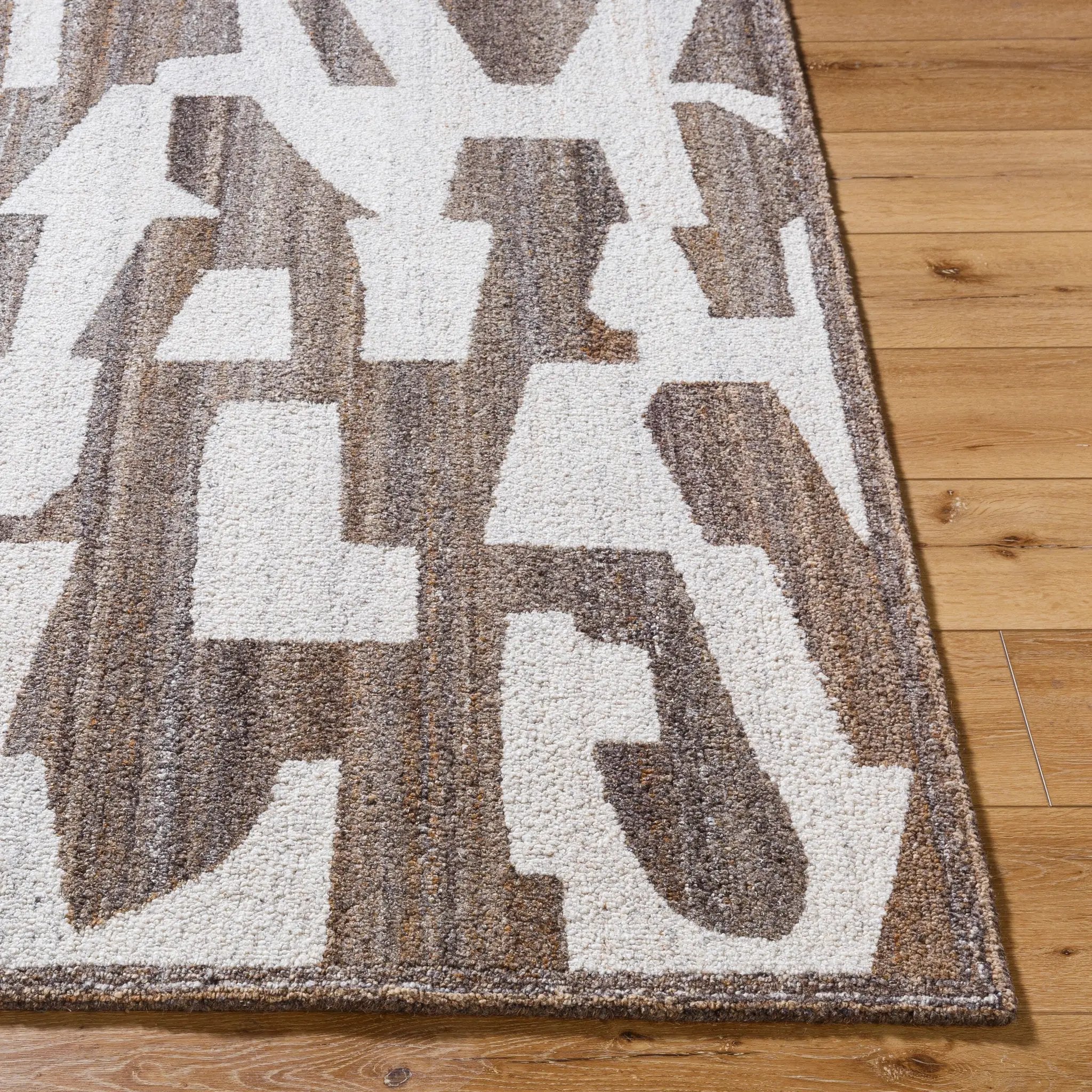 Andes AED-2301 Brown Area Rug by LIVABLISS