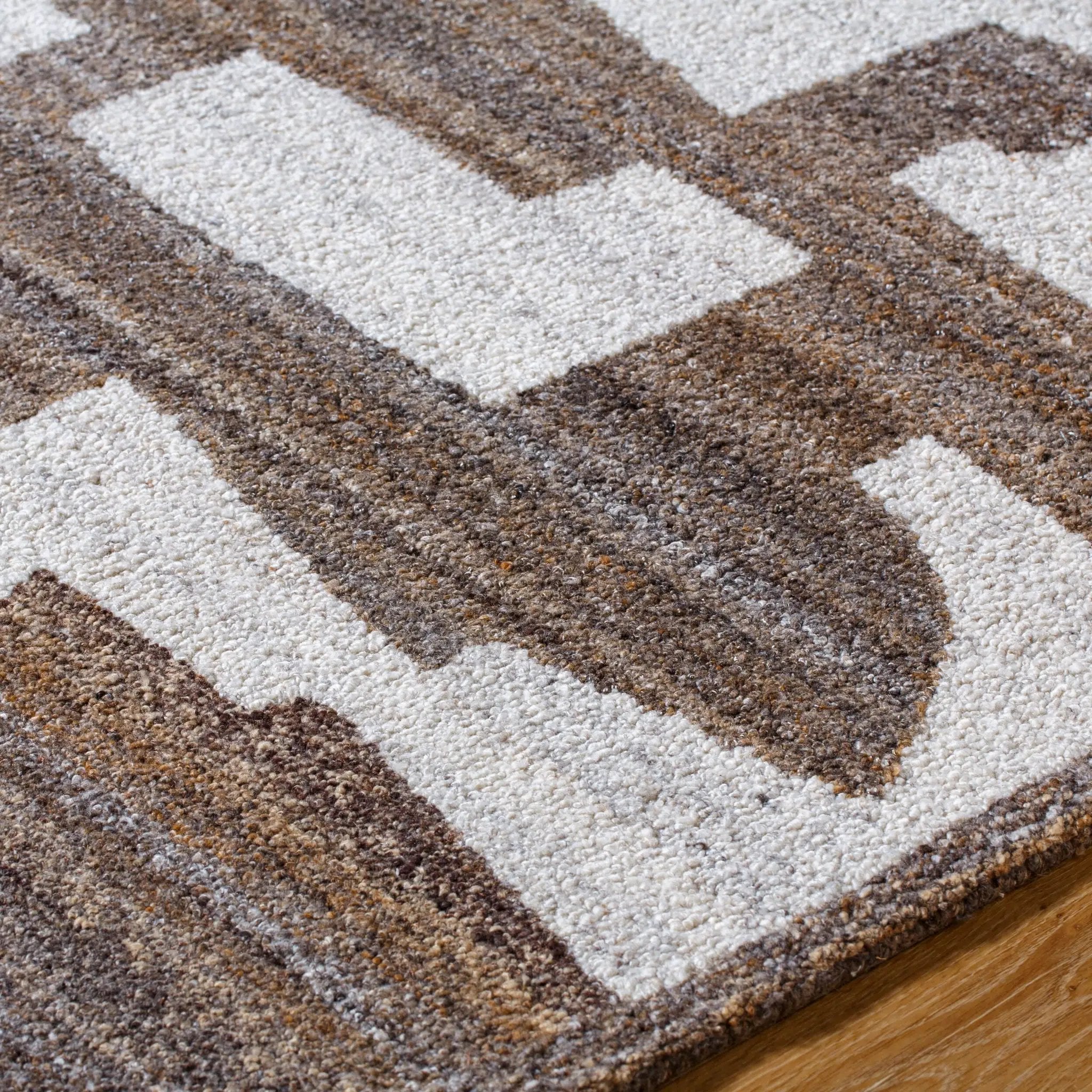 Andes AED-2301 Brown Area Rug by LIVABLISS