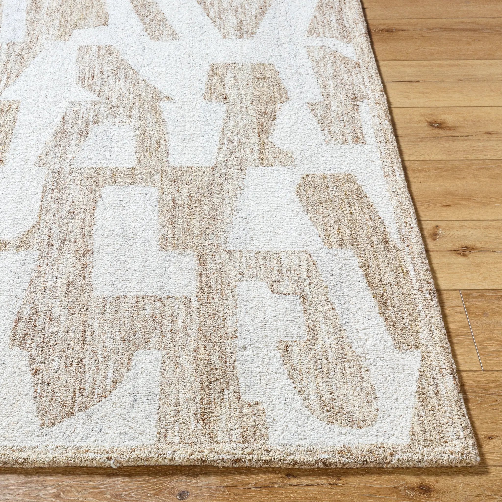 Andes AED-2302 Beige Area Rug by LIVABLISS