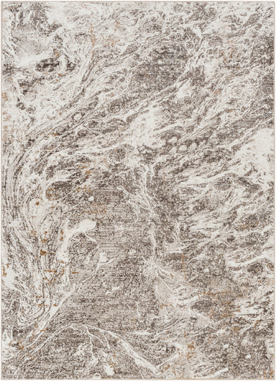 Surya Allegro Plus AGP-2300 Light Gray Area Rug by LIVABLISS