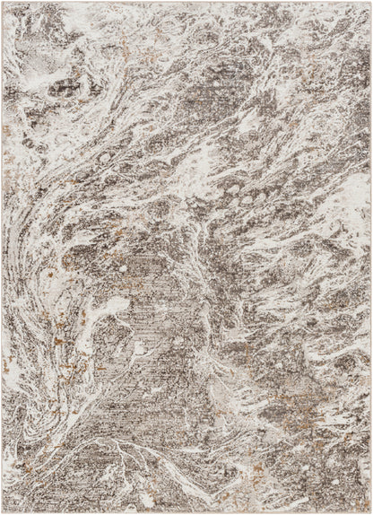 Surya Allegro Plus AGP-2300 Light Gray Area Rug by LIVABLISS