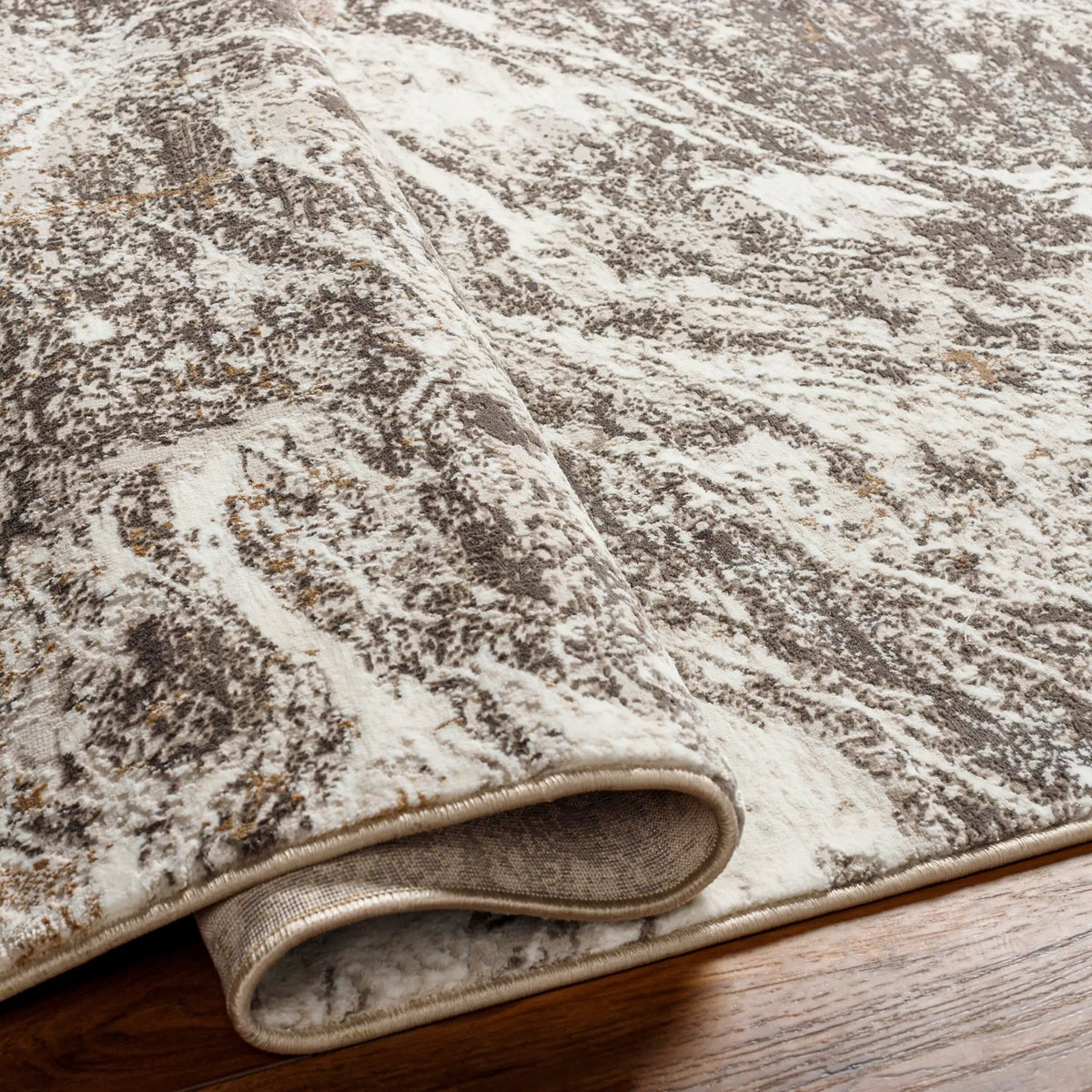 Allegro Plus AGP-2300 Light-Gray Area Rug by LIVABLISS