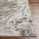 Surya Allegro Plus AGP-2300 Light Gray Area Rug by LIVABLISS