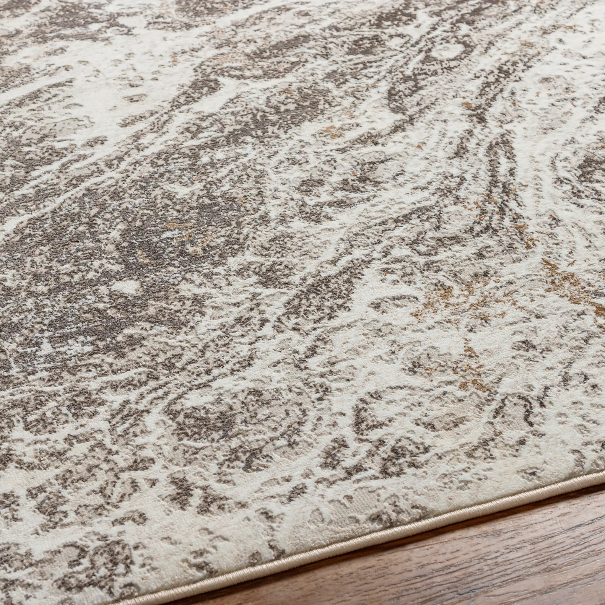 Allegro Plus AGP-2300 Light-Gray Area Rug by LIVABLISS