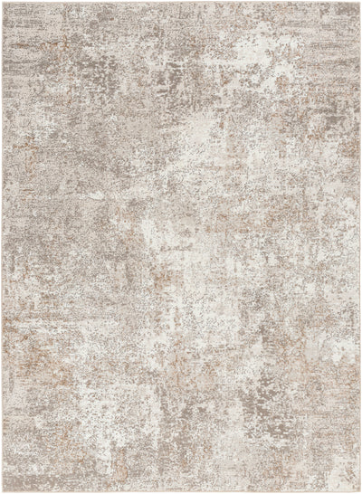 Surya Allegro Plus AGP-2302 Ivory Area Rug by LIVABLISS