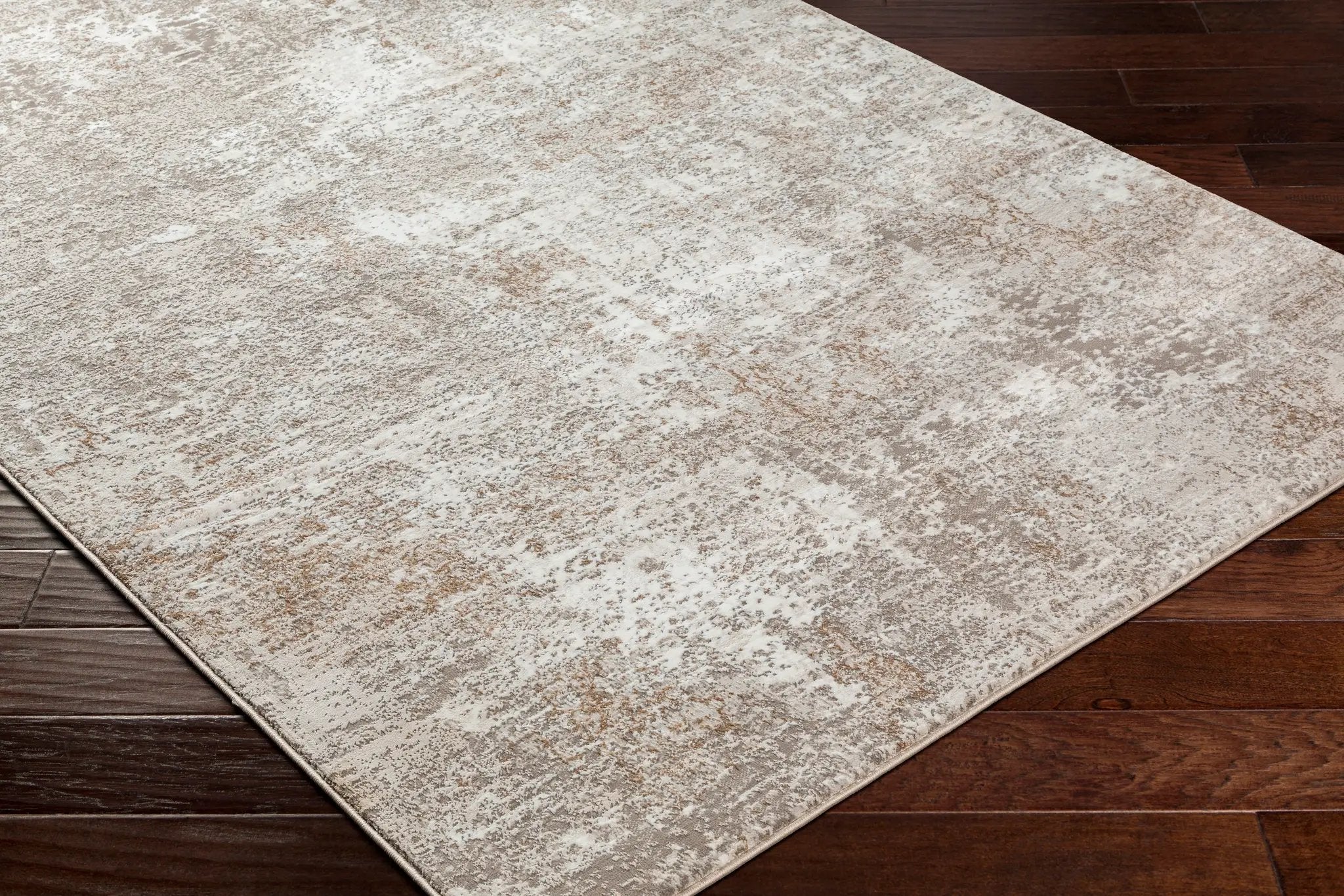 Allegro Plus AGP-2302 Ivory Area Rug by LIVABLISS