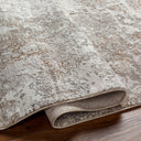Surya Allegro Plus AGP-2302 Ivory Area Rug by LIVABLISS