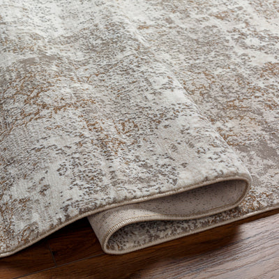 Surya Allegro Plus AGP-2302 Ivory Area Rug by LIVABLISS