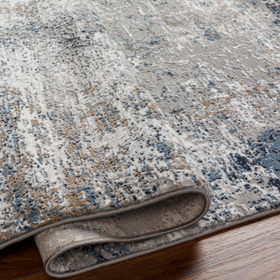 Surya Allegro Plus AGP-2303 Ivory Area Rug by LIVABLISS