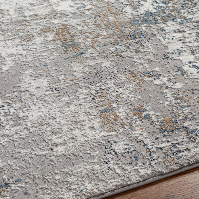 Surya Allegro Plus AGP-2303 Ivory Area Rug by LIVABLISS