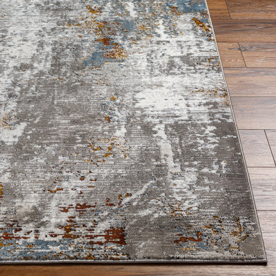 Allegro Plus AGP-2304 Ivory Area Rug by LIVABLISS
