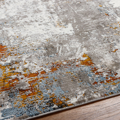 Allegro Plus AGP-2304 Ivory Area Rug by LIVABLISS