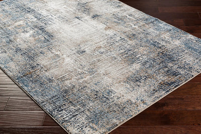 Allegro Plus AGP-2306 Light-Gray Area Rug by LIVABLISS