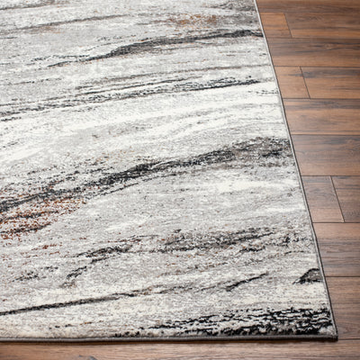 LIVABLISS Allegro Plus AGP-2307 Area Rug