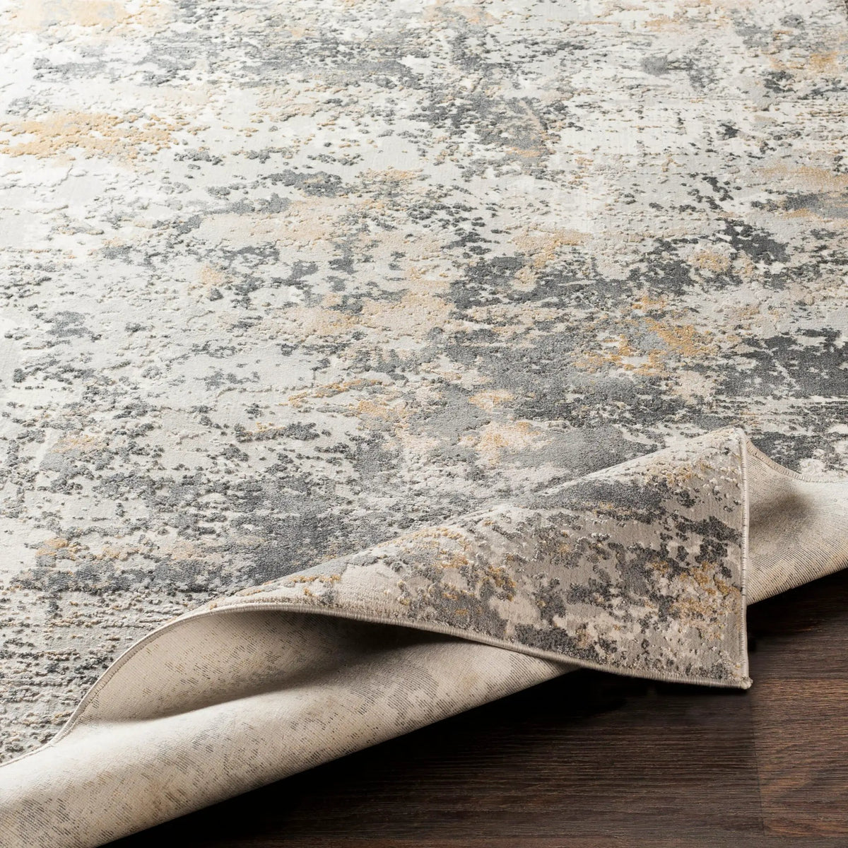 Aisha AIS-2303 Charcoal Area Rug by LIVABLISS