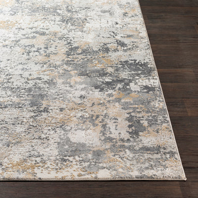 LIVABLISS Aisha AIS-2303 Area Rug
