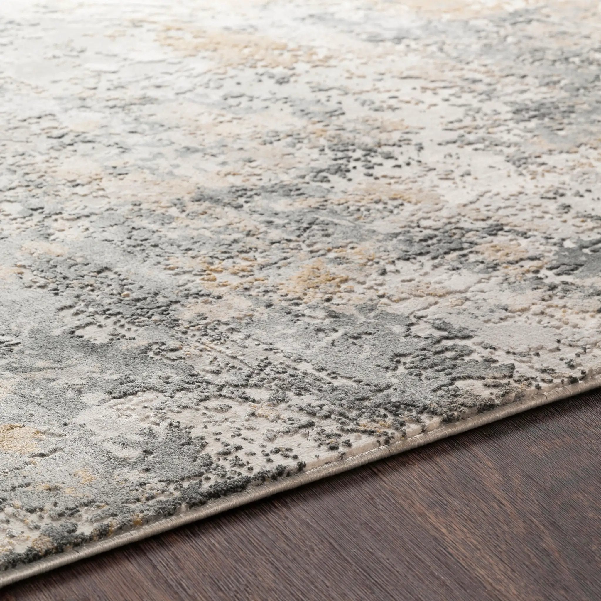 Aisha AIS-2303 Charcoal Area Rug by LIVABLISS