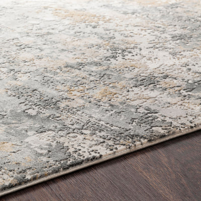 LIVABLISS Aisha AIS-2303 Area Rug