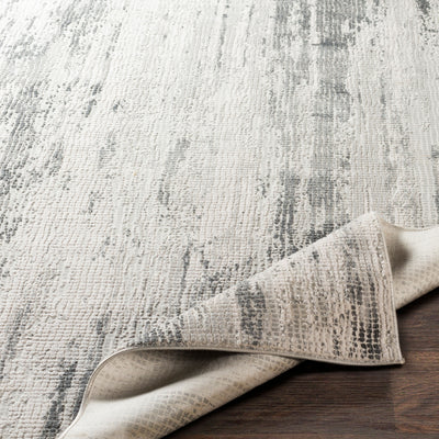 Surya Aisha AIS-2304 Gray Area Rug by LIVABLISS