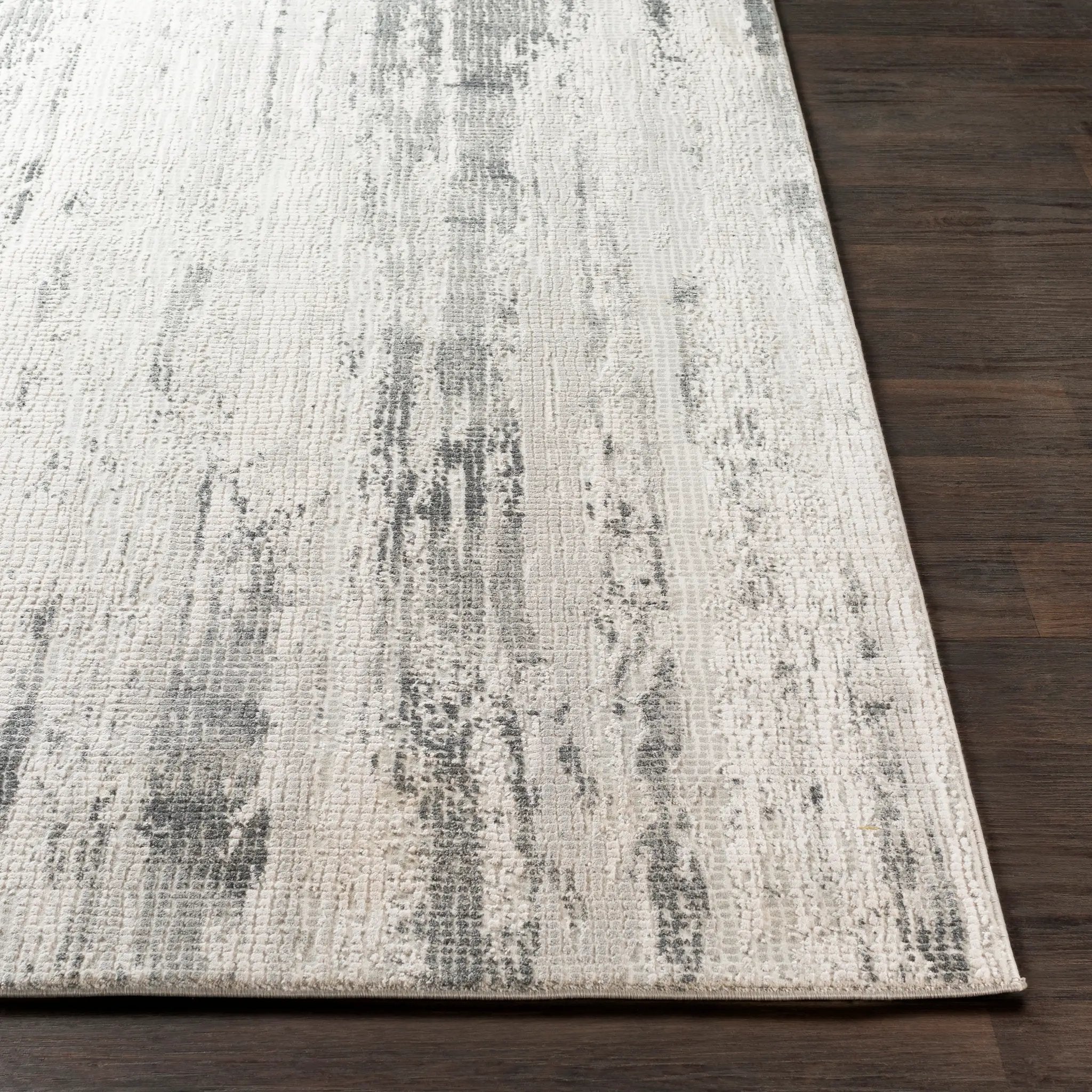 Aisha AIS-2304 Gray Area Rug by LIVABLISS