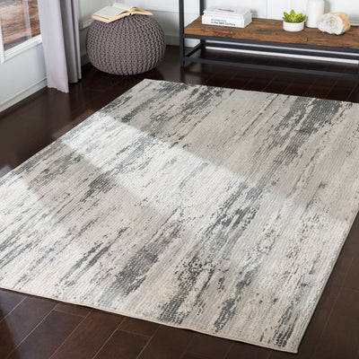 Surya Aisha AIS-2304 Gray Area Rug by LIVABLISS