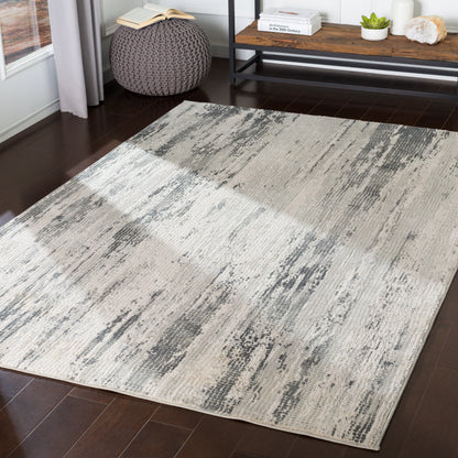 Surya Aisha AIS-2304 Gray Area Rug by LIVABLISS