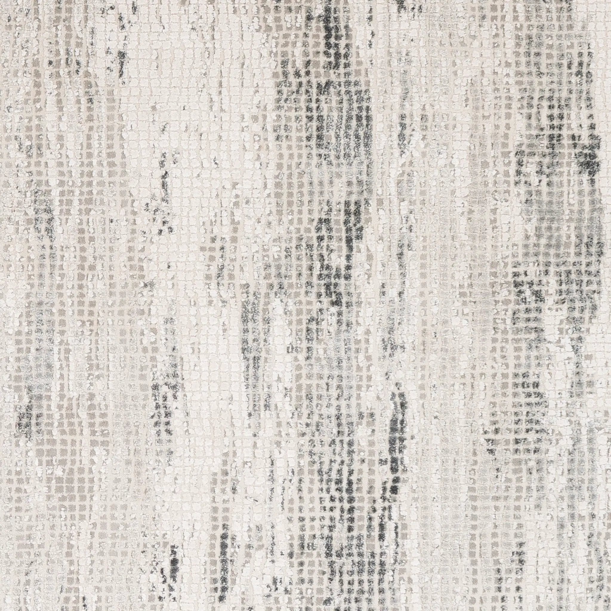 Aisha AIS-2304 Gray Area Rug by LIVABLISS