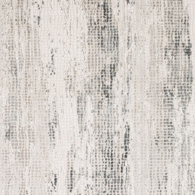 Surya Aisha AIS-2304 Gray Area Rug by LIVABLISS