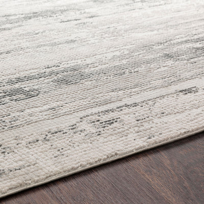 Surya Aisha AIS-2304 Gray Area Rug by LIVABLISS