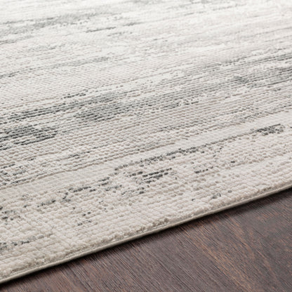 Surya Aisha AIS-2304 Gray Area Rug by LIVABLISS