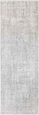 Surya Aisha AIS-2305 Light Gray Area Rug by LIVABLISS