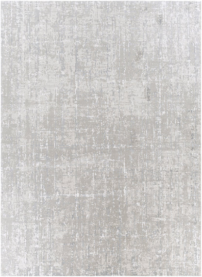 Surya Aisha AIS-2305 Light Gray Area Rug by LIVABLISS