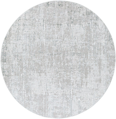 Surya Aisha AIS-2305 Light Gray Area Rug by LIVABLISS