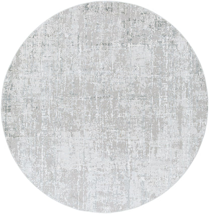 Surya Aisha AIS-2305 Light Gray Area Rug by LIVABLISS