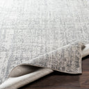 Surya Aisha AIS-2305 Light Gray Area Rug by LIVABLISS