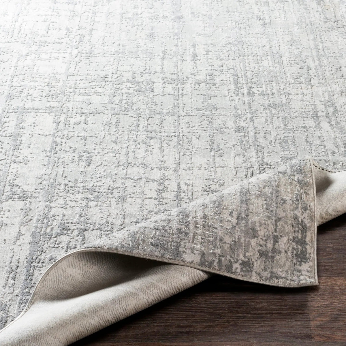 Aisha AIS-2305 Light-Gray Area Rug by LIVABLISS
